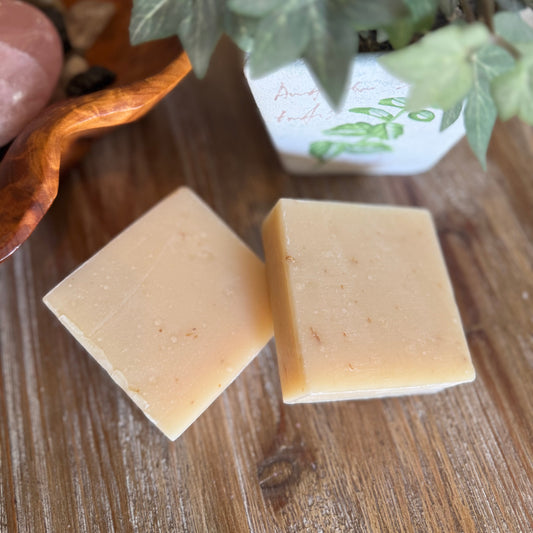 Two square beige soap bars on a wooden surface with a plant in the background.